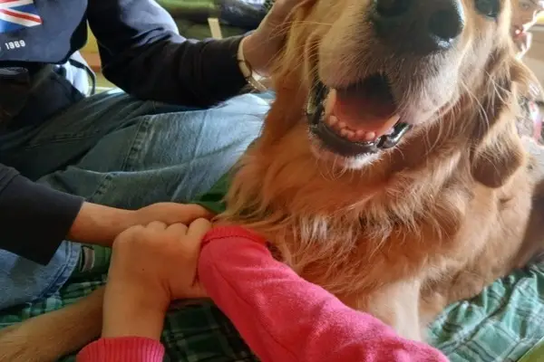Dziecko podczas zajęć terapeutycznych z psem – dogoterapia wspierająca rozwój i terapię dzieci z niepełnosprawnościami.